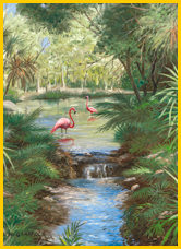 Flamingos at Sarasota Jungle Gardens